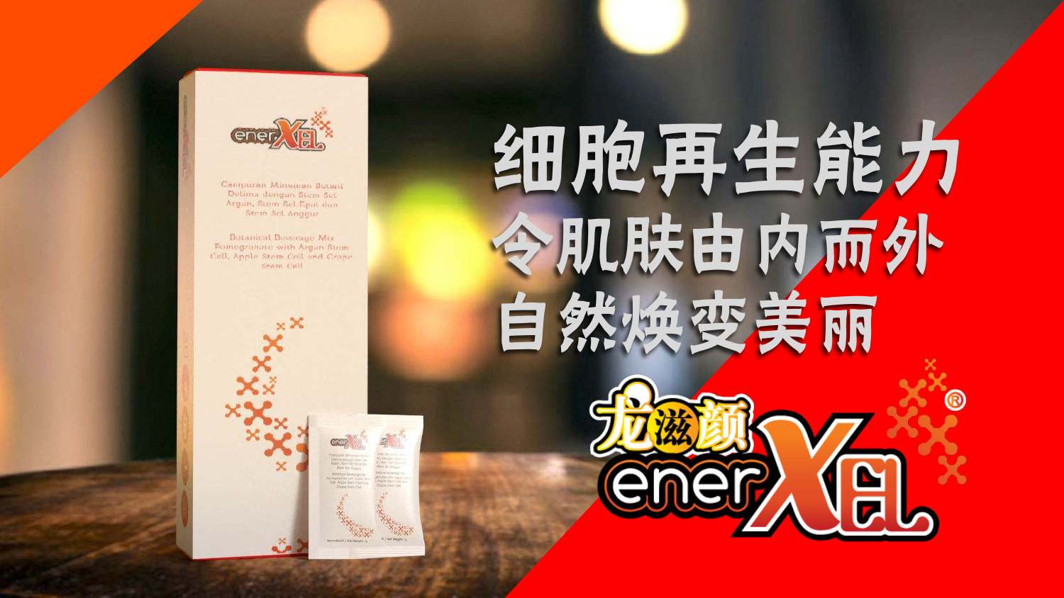 EnerXEL product details