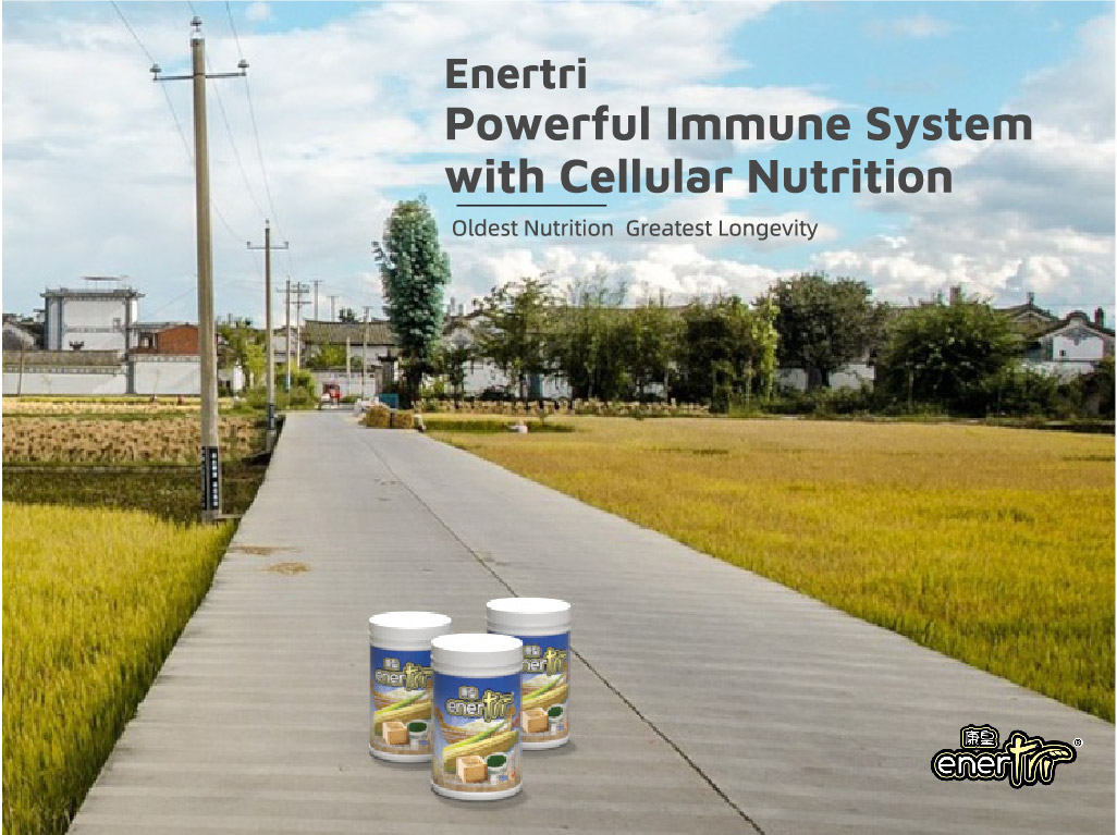 enertri-400gm product details